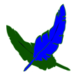 Federn